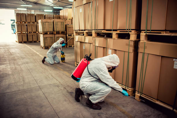Best Exterminator Services  in Sunland Park, NM
