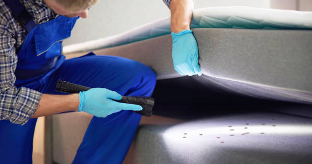 Best Best Pest Control Companies  in Sunland Park, NM