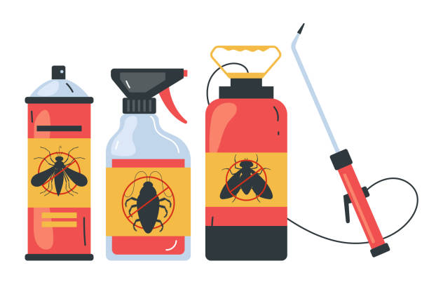 Best Local Pest Control Services  in Sunland Park, NM