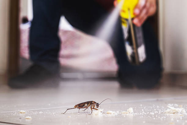 Best Pest Prevention Services  in Sunland Park, NM
