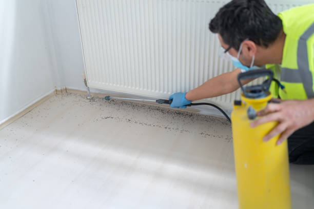 Best Termite Control Services  in Sunland Park, NM
